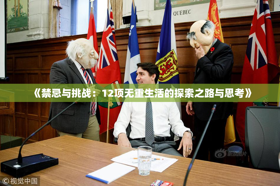 《禁忌与挑战：12项无重生活的探索之路与思考》