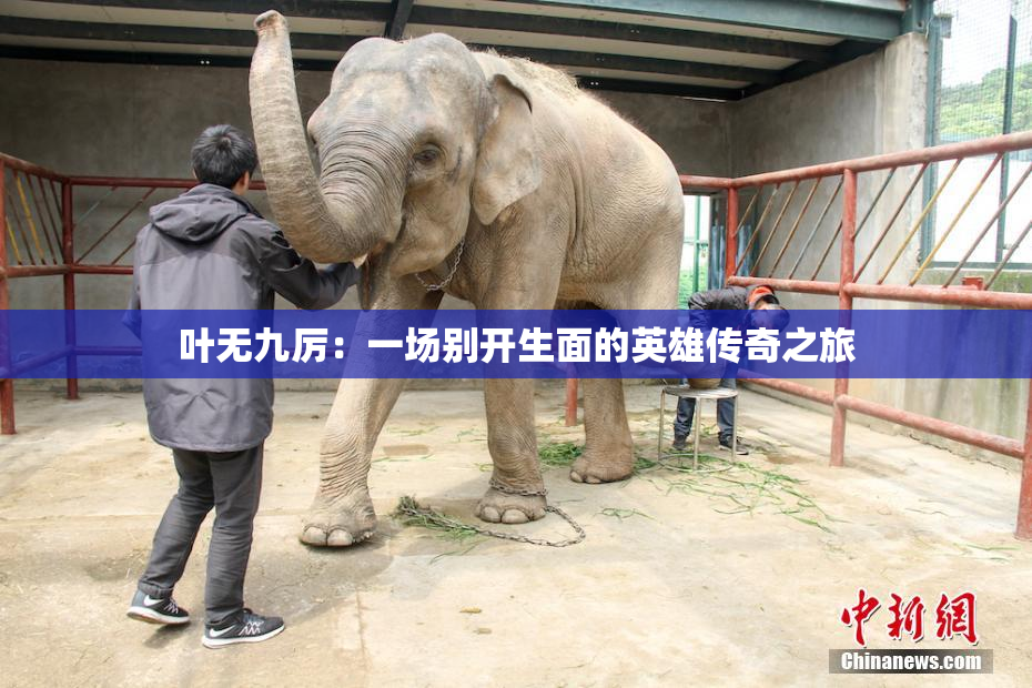 叶无九厉：一场别开生面的英雄传奇之旅