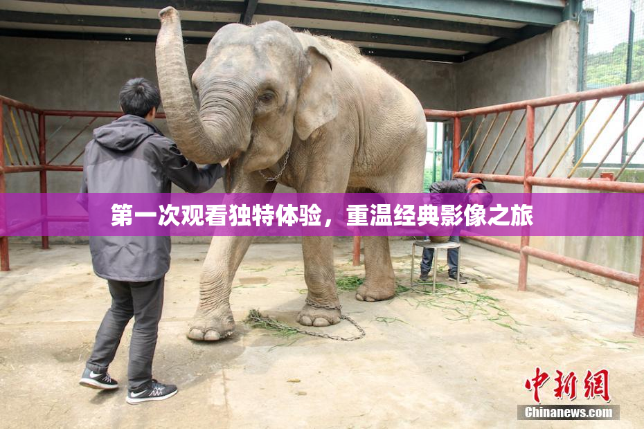 第一次观看独特体验，重温经典影像之旅