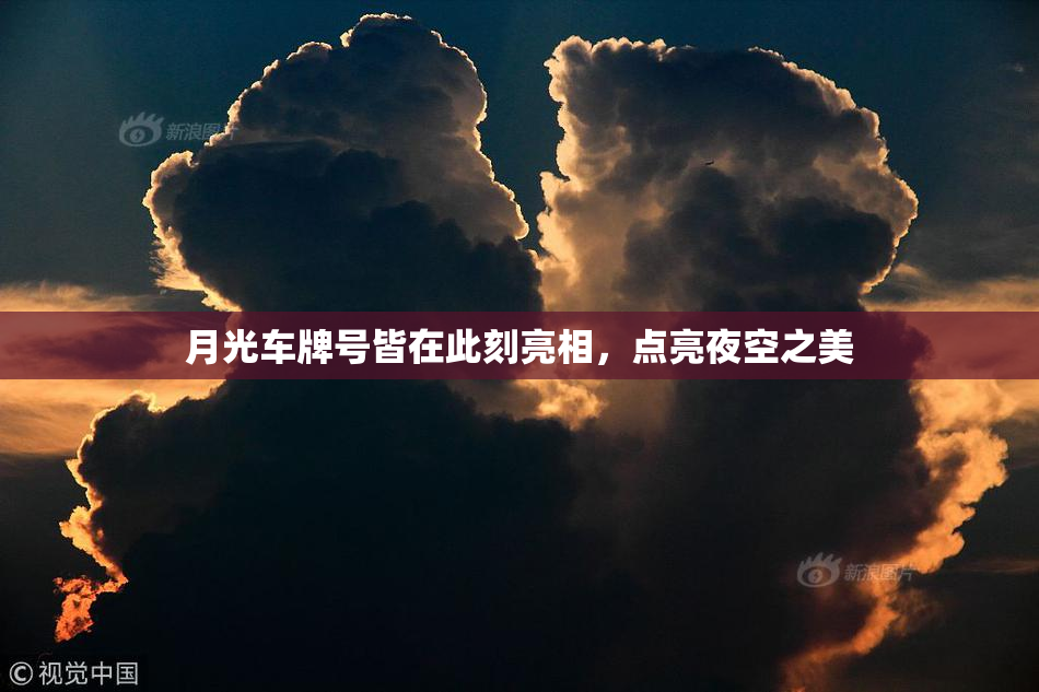 月光车牌号皆在此刻亮相，点亮夜空之美