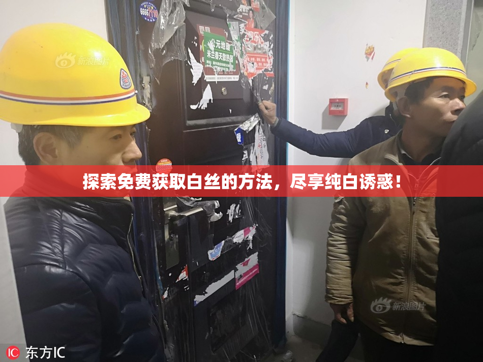 探索免费获取白丝的方法，尽享纯白诱惑！