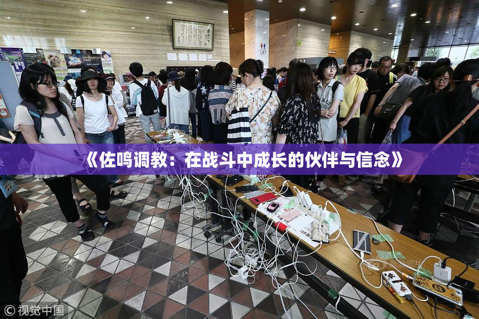 《佐鸣调教：在战斗中成长的伙伴与信念》