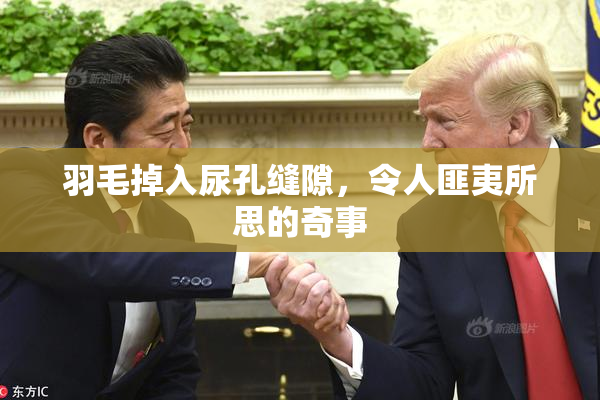 羽毛掉入尿孔缝隙，令人匪夷所思的奇事