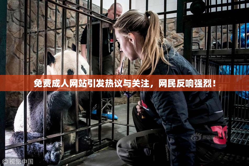 免费成人网站引发热议与关注，网民反响强烈！