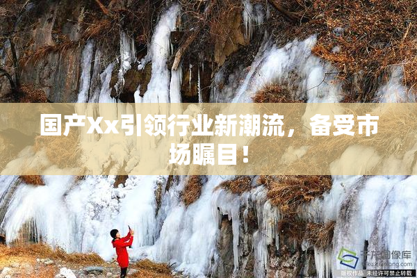 国产Xx引领行业新潮流，备受市场瞩目！