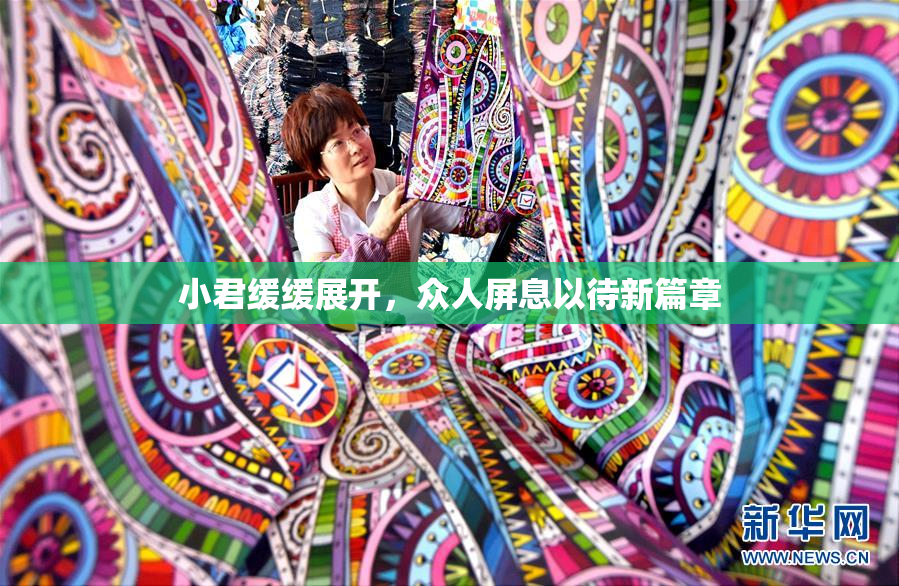 小君缓缓展开，众人屏息以待新篇章