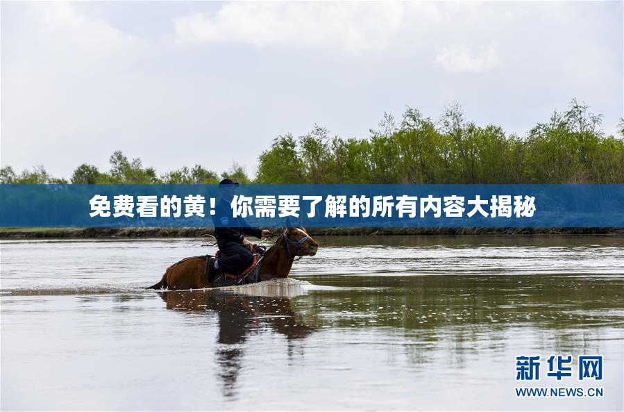 免费看的黄！你需要了解的所有内容大揭秘