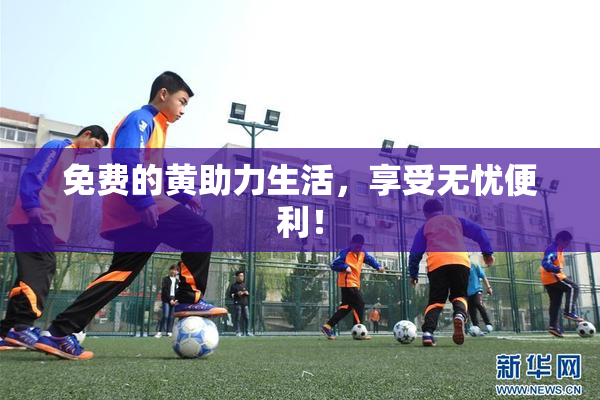 免费的黄助力生活，享受无忧便利！