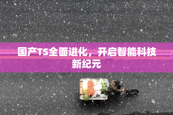 国产TS全面进化，开启智能科技新纪元