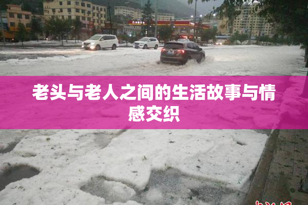 老头与老人之间的生活故事与情感交织