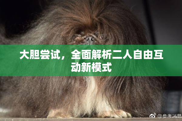 大胆尝试，全面解析二人自由互动新模式