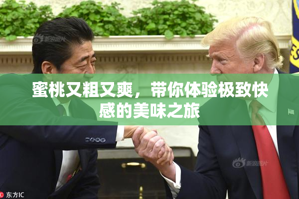 蜜桃又粗又爽，带你体验极致快感的美味之旅