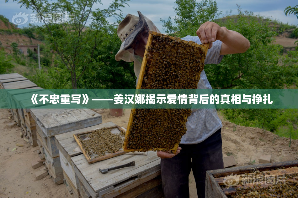 《不忠重写》——姜汉娜揭示爱情背后的真相与挣扎