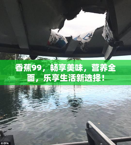 香蕉99，畅享美味，营养全面，乐享生活新选择！