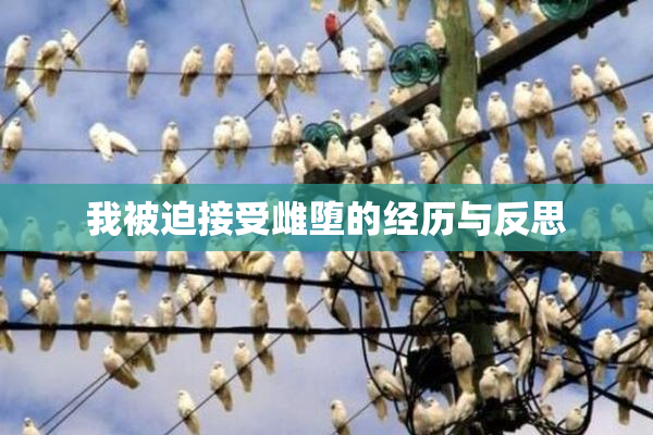 我被迫接受雌堕的经历与反思