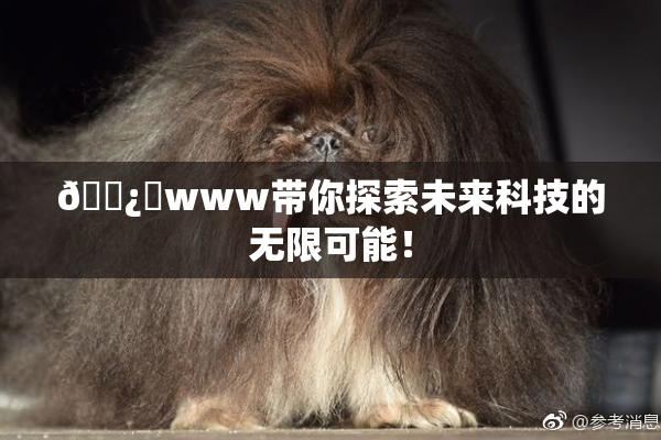 🌿‌www带你探索未来科技的无限可能！