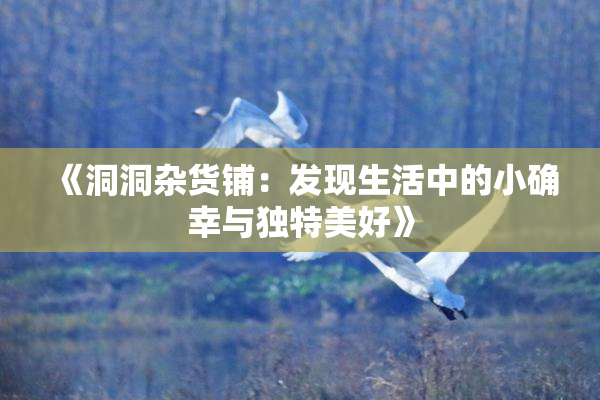 《洞洞杂货铺：发现生活中的小确幸与独特美好》