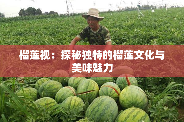 榴莲视：探秘独特的榴莲文化与美味魅力