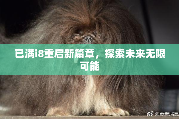 已满i8重启新篇章，探索未来无限可能