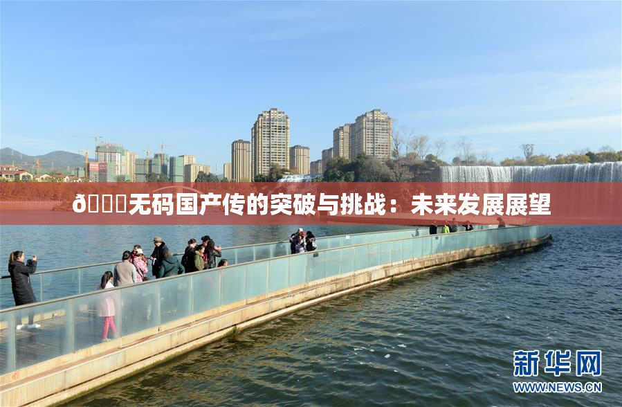 🔞无码国产传的突破与挑战：未来发展展望