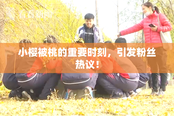 小樱被桃的重要时刻，引发粉丝热议！