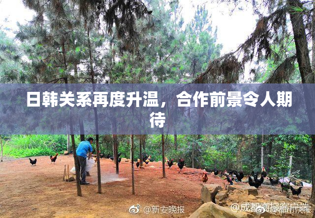 日韩关系再度升温，合作前景令人期待
