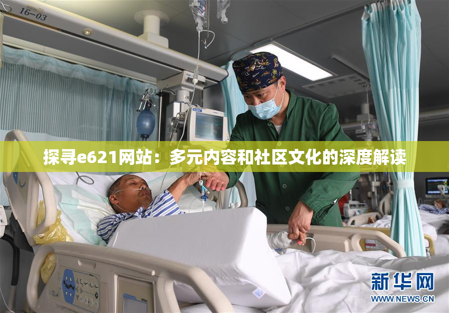 探寻e621网站：多元内容和社区文化的深度解读