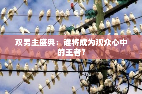 双男主盛典：谁将成为观众心中的王者？