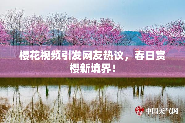 樱花视频引发网友热议，春日赏樱新境界！