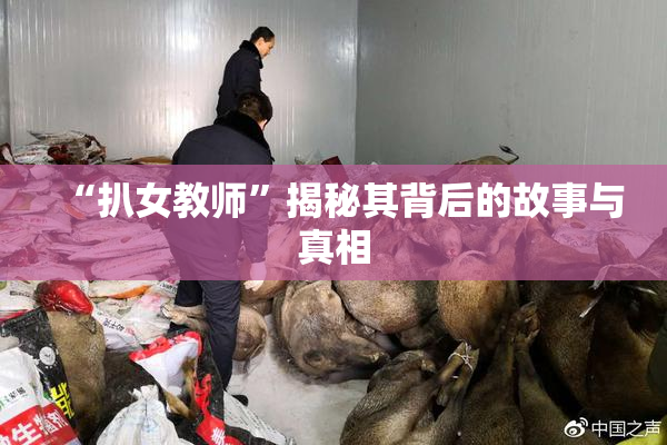 “扒女教师”揭秘其背后的故事与真相