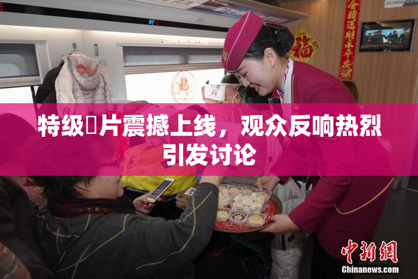 特级婬片震撼上线，观众反响热烈引发讨论