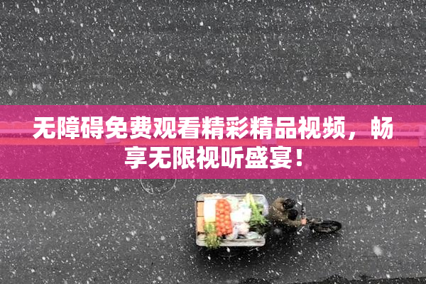 无障碍免费观看精彩精品视频，畅享无限视听盛宴！