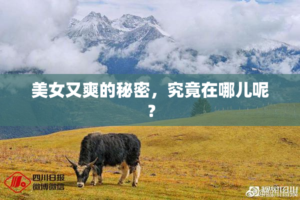 美女又爽的秘密，究竟在哪儿呢？