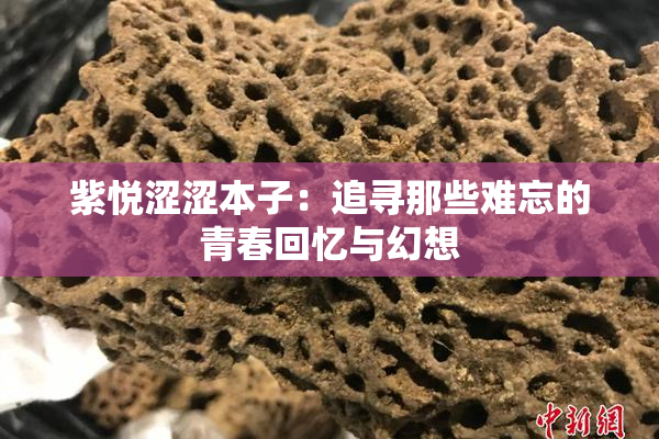 紫悦涩涩本子：追寻那些难忘的青春回忆与幻想