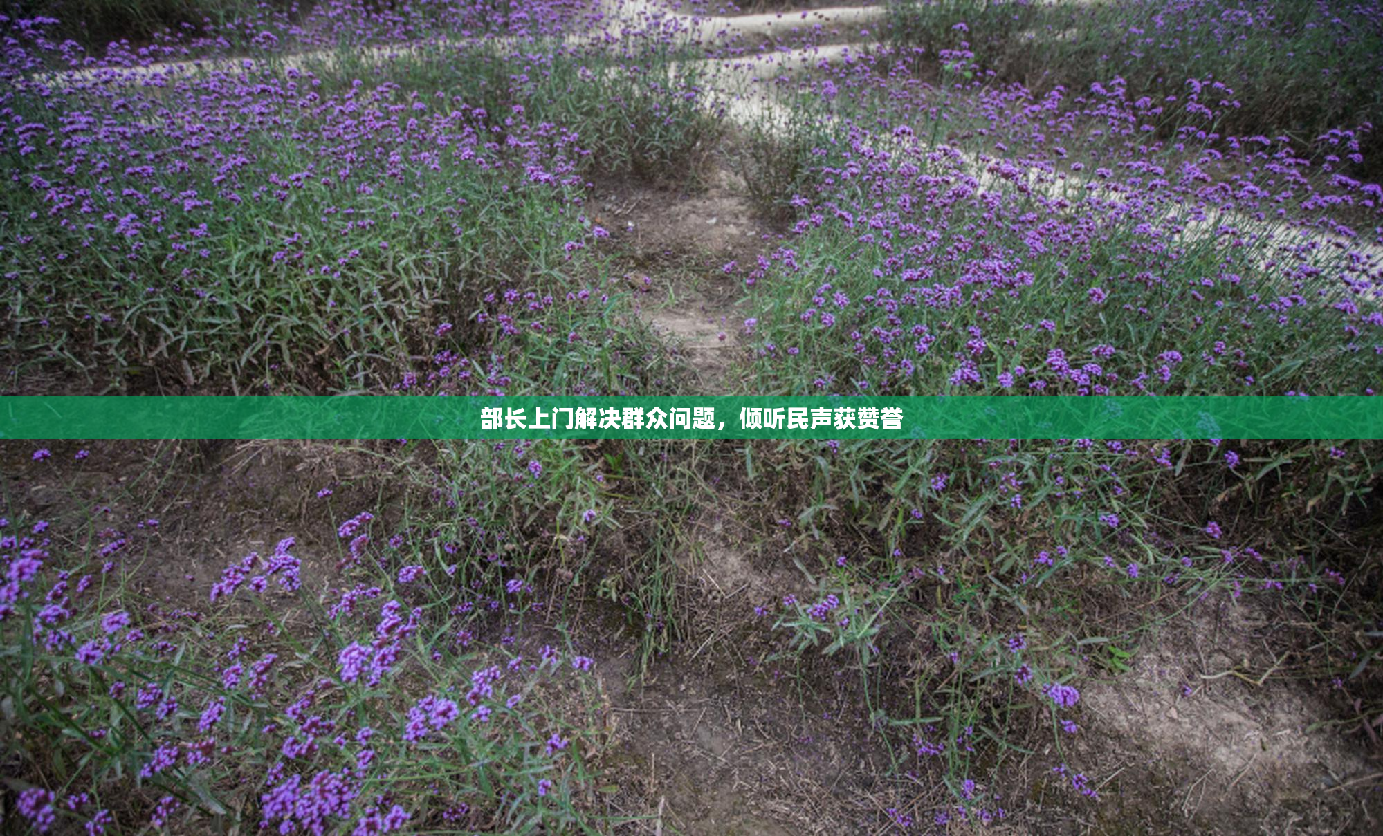 部长上门解决群众问题，倾听民声获赞誉