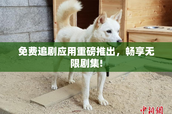 免费追剧应用重磅推出，畅享无限剧集!