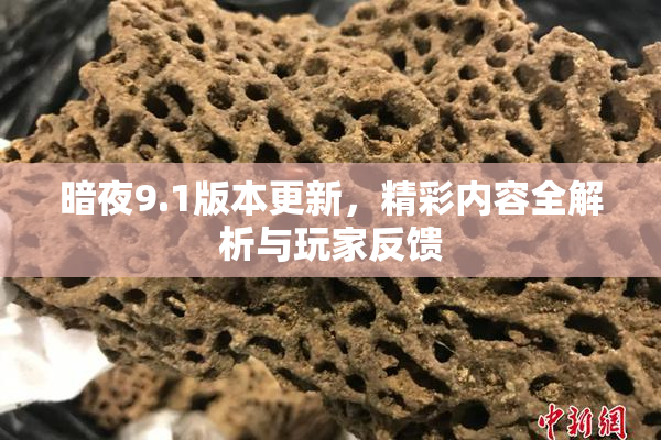 暗夜9.1版本更新，精彩内容全解析与玩家反馈