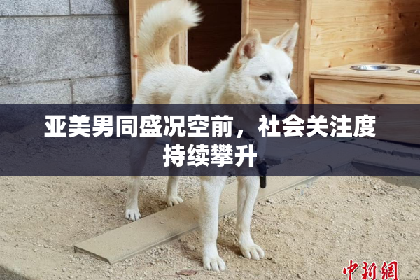 亚美男同盛况空前，社会关注度持续攀升