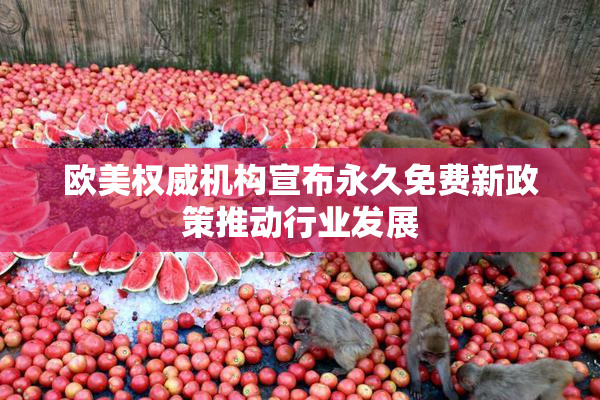 欧美权威机构宣布永久免费新政策推动行业发展