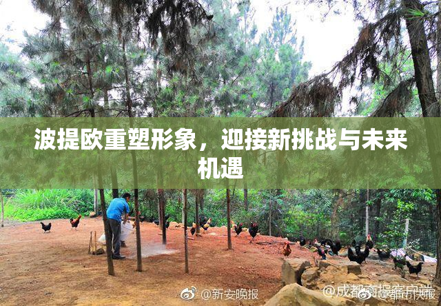 波提欧重塑形象，迎接新挑战与未来机遇