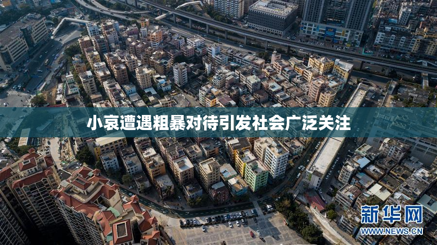 小哀遭遇粗暴对待引发社会广泛关注