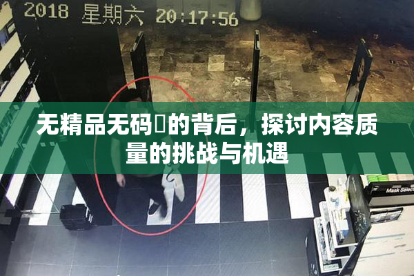 无精品无码囯的背后，探讨内容质量的挑战与机遇