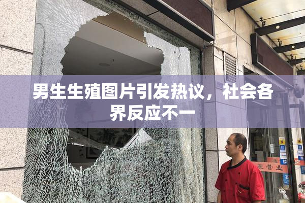 男生生殖图片引发热议，社会各界反应不一