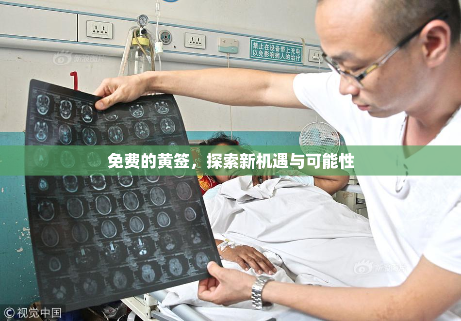 免费的黄签，探索新机遇与可能性
