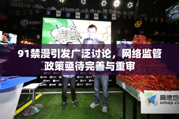 91禁漫引发广泛讨论，网络监管政策亟待完善与重审