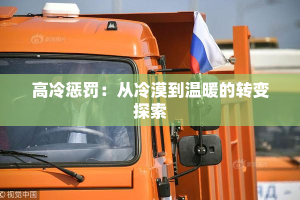 高冷惩罚：从冷漠到温暖的转变探索