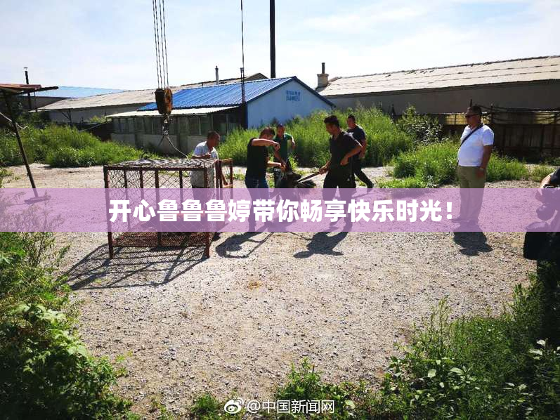 开心鲁鲁鲁婷带你畅享快乐时光！
