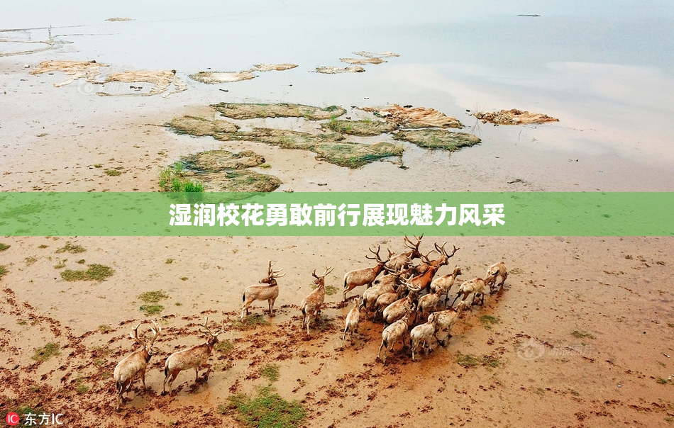 湿润校花勇敢前行展现魅力风采