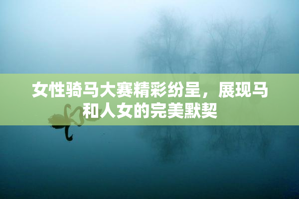 女性骑马大赛精彩纷呈，展现马和人女的完美默契