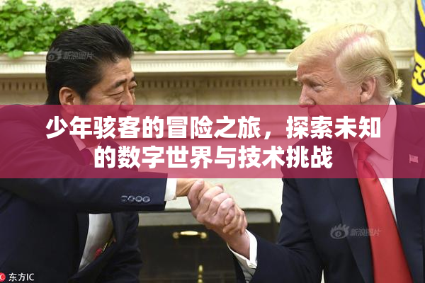 少年骇客的冒险之旅，探索未知的数字世界与技术挑战
